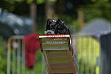 Canis zaterdag
