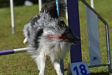 Canis zaterdag