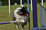 Canis zaterdag