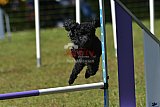 Canis zaterdag