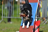 Canis zaterdag