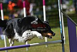 Canis zaterdag