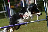 Canis zaterdag
