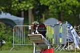 Canis zaterdag