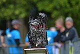 Canis zaterdag