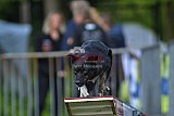 Canis zaterdag