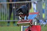 Canis zaterdag