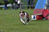 Canis zaterdag