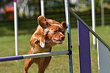Canis zaterdag