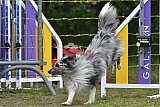 Canis zaterdag