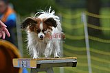 Canis zaterdag