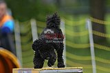Canis zaterdag