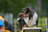 Canis zaterdag