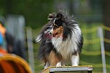 Canis zaterdag