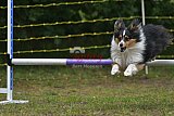 Canis zaterdag