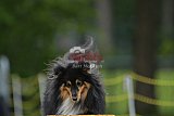 Canis zaterdag