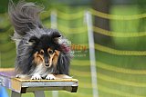 Canis zaterdag