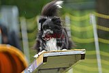 Canis zaterdag