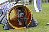 Canis zaterdag