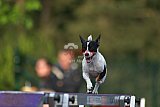Canis zaterdag