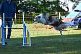 Canis zaterdag