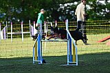 Canis zaterdag