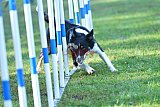 Canis zaterdag
