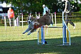 Canis zaterdag