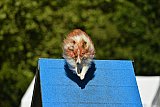 Canis zaterdag