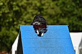 Canis zaterdag