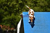 Canis zaterdag