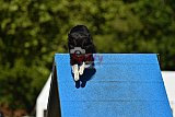 Canis zaterdag