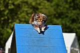Canis zaterdag