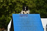 Canis zaterdag
