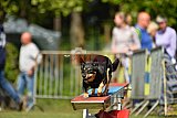 Canis zaterdag