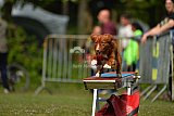 Canis zaterdag
