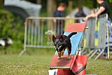 Canis zaterdag