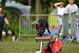 Canis zaterdag