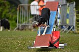 Canis zaterdag
