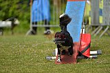Canis zaterdag