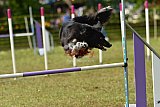 Canis zaterdag