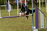 Canis zaterdag