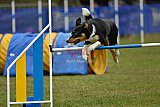 Canis zaterdag