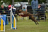 Canis zaterdag