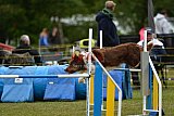 Canis zaterdag