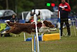 Canis zaterdag