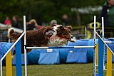 Canis zaterdag