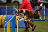 Canis zaterdag