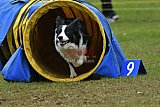 Canis zondag