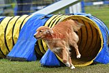 Canis zondag